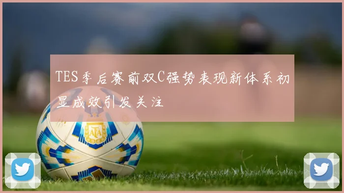 TES季后赛前双C强势表现新体系初显成效引发关注
