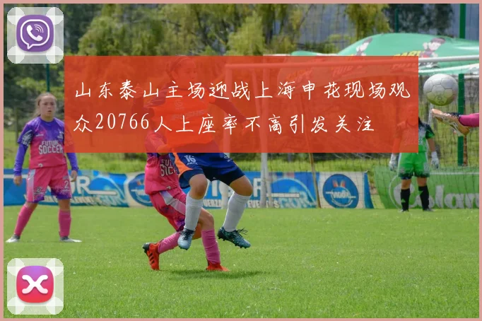 山东泰山主场迎战上海申花现场观众20766人上座率不高引发关注
